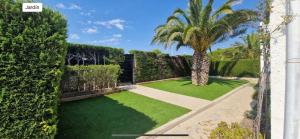 a garden with a palm tree and a sidewalk at Mar i Cel 54 in Calafat