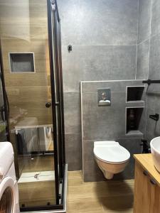 a bathroom with a toilet and a sink at Apartmani Jedro in Rafailovici +55 photos
