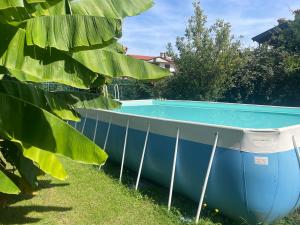 een zwembad in een tuin naast een bananenboom bij Il giardino di Emilia - Intero appartamento in villa con giardino privato e piscina estiva in Pontirolo Nuovo