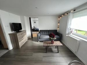 a living room with a couch and a tv at Chez Eliane in Bennwihr