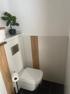 Phòng tắm tại Apartman Riegrova 41 +6 ảnh