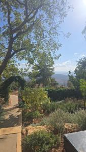 Φυσικό τοπίο κοντά σε αυτό το διαμέρισμα