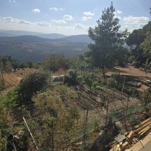 Φυσικό τοπίο κοντά σε αυτό το διαμέρισμα