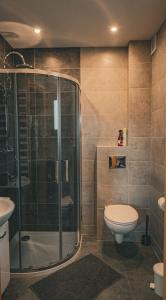 a bathroom with a shower and a toilet and a sink at Dziki Raj - domki z widokiem na Tatry oraz Babią Górę in Jabłonka