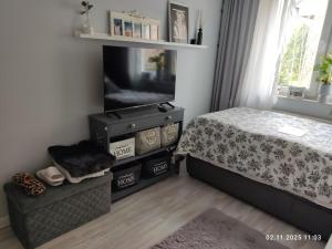 a bedroom with a bed and a flat screen tv at Deluxe Einzelzimmer nur für max 1 Nacht buchbar abends rein morgens raus in Bielefeld