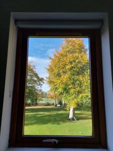 Un jardín fuera de The Nest