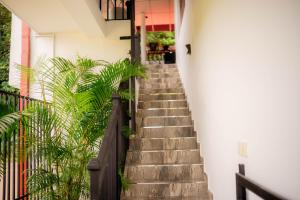 a staircase leading up to a house with plants at ROYAL CREST VILLA in Weligama