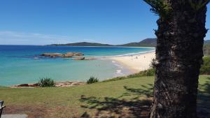 a beach with people in the water and a tree at Cod Place in Beautiful South West Rocks in South West Rocks +3 photos