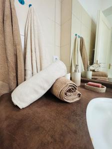 a towel laying on the floor of a bathroom at Le Faure - Appartement Centre ville et Jardin 2 personnes in Valence