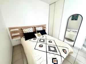 a bedroom with a bed and a large mirror at Le Faure - Appartement Centre ville et Jardin 2 personnes in Valence