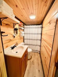a bathroom with a sink and a toilet at Adventurer's Nook in High Falls