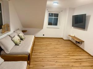 a living room with a couch and a television at Apartment K&L Boží Dar in Boží Dar