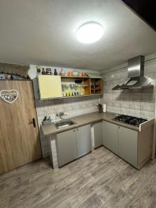 a small kitchen with a sink and a stove at U Efy in Josefuv dul