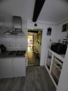 a kitchen with a stove and a counter top at U Efy in Josefuv dul