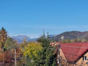 a house with a red roof with mountains in the background at Elysium Zenith Estate in Cornu de Jos
