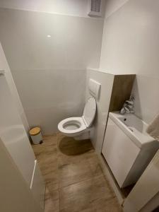 Ένα μπάνιο στο Apartmán Josefská +16 φωτογραφίες