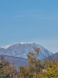 a mountain covered in snow with trees in the foreground at Elysium Zenith Estate in Cornu de Jos
