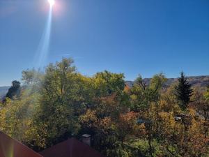 a view of trees with the sun in the sky at Elysium Zenith Estate in Cornu de Jos