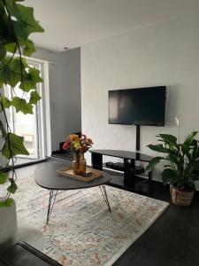 TV a/nebo společenská místnost v ubytování Cozy house with garden