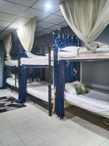 a room with four bunk beds with blue curtains at MINUM Hostel in Haad Rin