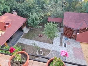 an overhead view of a garden with plants and flowers at Elysium Zenith Estate in Cornu de Jos