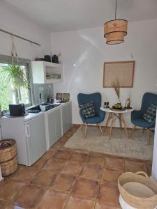a kitchen with blue chairs and a table in a room at Pelekanos Apartment in Kamilari