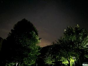 a starry night with trees in the foreground at Il Seccatoio in Riolunato
