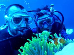 Hosté ubytování Hoga Island Dive Resort