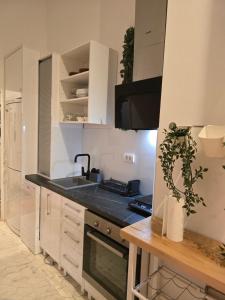 Kuchyň nebo kuchyňský kout v ubytování Apartman Stepa K3