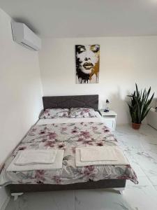 Postel nebo postele na pokoji v ubytování Stan na dan - zvijezda Danica Kozarska Dubica