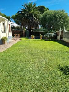 a yard with a palm tree and a house at Serene Haven Guest House in Victoria West +175 photos