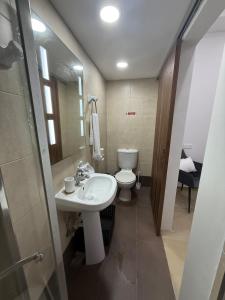 a bathroom with a sink and a toilet and a mirror at 4 Bed Maisonette Close to Mater Dei in Birkirkara