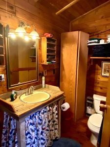 une salle de bain avec un lavabo et des toilettes dans l'établissement Family-Friendly Cabin Rental with Free Wi-Fi in Bitterroot Valley of Montana, à Hamilton