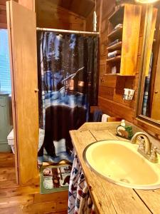 La salle de bains est pourvue d'un lavabo et d'une douche dans une cabine. dans l'établissement Family-Friendly Cabin Rental with Free Wi-Fi in Bitterroot Valley of Montana, à Hamilton