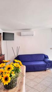 Μια τηλεόραση ή/και κέντρο ψυχαγωγίας στο house of mary