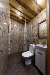 a bathroom with a toilet and a sink at Kalliomaja Villa Lummelahti in Savitaipale