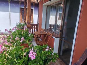 Afbeelding uit fotogalerij van Радкината къща in Koprivshtitsa