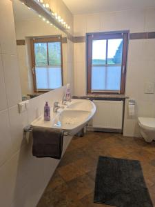 a bathroom with a sink and a toilet at Idyllische Maisonettewohnung mit Bergblick in Irschenberg