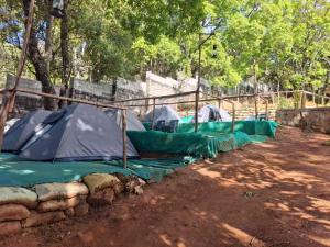 a group of tents lined up in a field at kolkumalai tent stay in Suryanelli