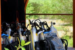 a group of umbrellas sitting next to a window at Indos Dive Homestay-Raja Ampat in Besir