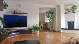 TV a/nebo společenská místnost v ubytování Haus Gumpold 2