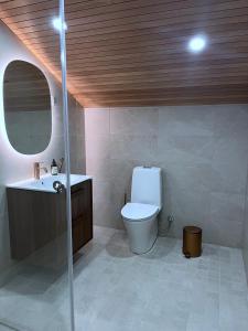een badkamer met een toilet, een wastafel en een spiegel bij Lapland Dream Destinations in Rovaniemi +11 foto's