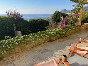 Naturlandskabet i nærheden af lejligheden