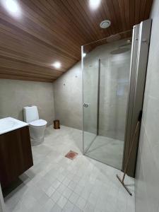 een badkamer met douche en toilet bij Lapland Dream Destinations in Rovaniemi +46 foto's