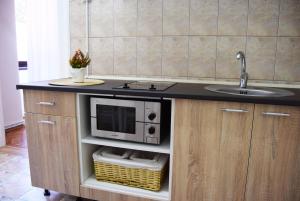a kitchen counter with a sink and a microwave at Contessa Apartment Cluj Napoca in Cluj-Napoca