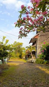 ein Baum mit rosa Blüten vor einem Gebäude in der Unterkunft Chody House in Jepara