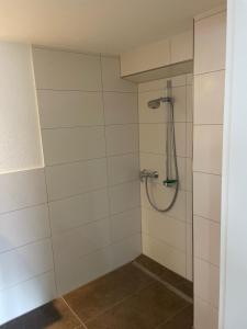 Ένα μπάνιο στο Hegau Loft