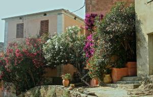 a building with flowers and plants in front of it at Maison de charme avec Terrasse vue sur mer in Rogliano
