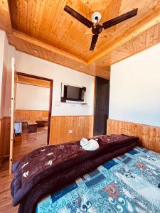 Et tv og/eller underholdning på House of Paws Manāli