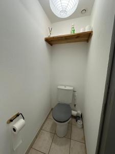 杜埃拉丰坦APT Iere ETAGE PARKING PRIVE AVEC GARAGE MOTO VELO的一间设有卫生间和灯的小浴室